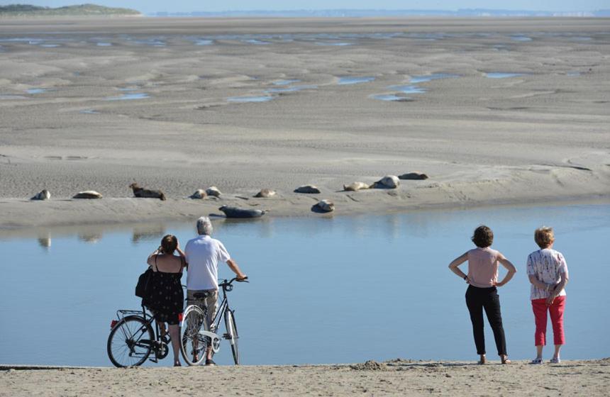 Paddle - Vue Mer - 100M Plage Berck Extérieur photo